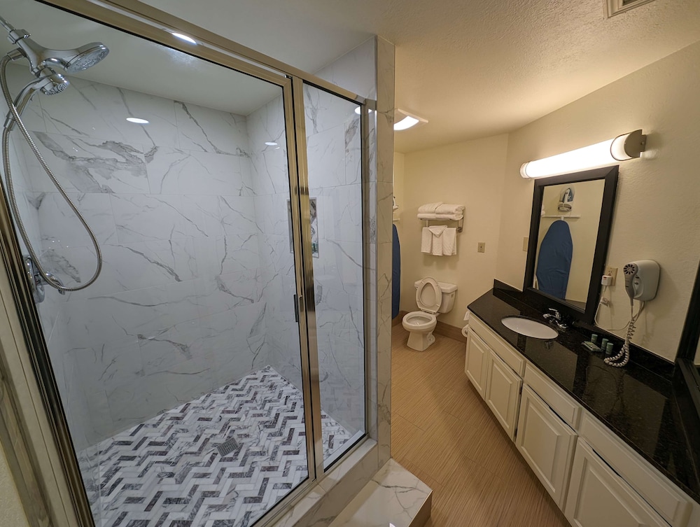 Best Western Windsor Suites - photo 32