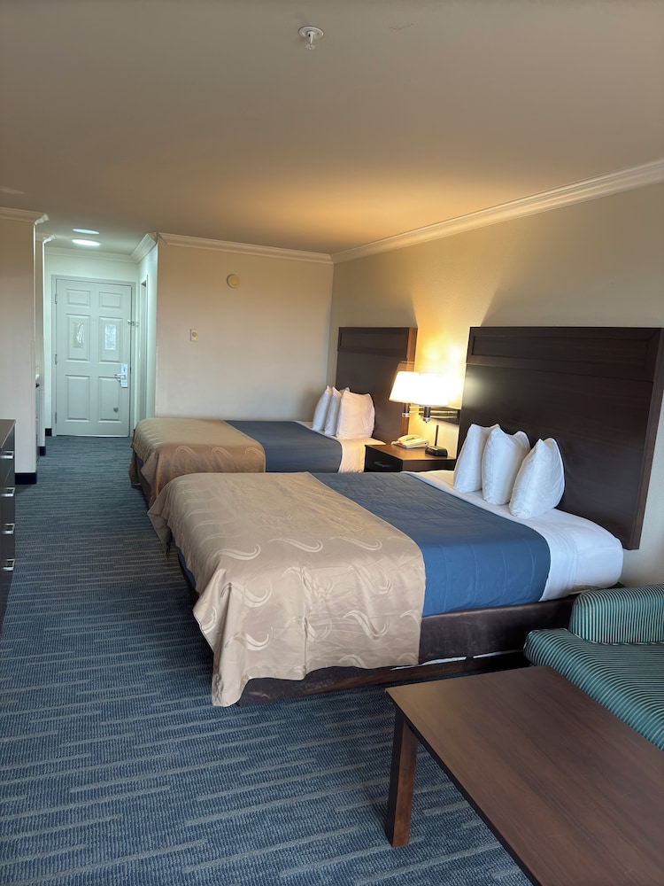 Ocean Paradise Hotel & Resort - photo 19