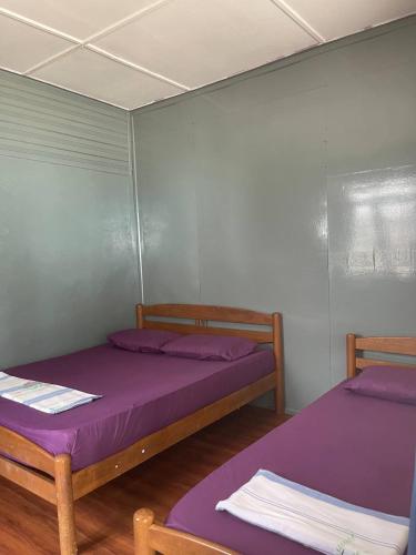 Fauna Perhentian Big Island in Kuala Besut, Malaysia