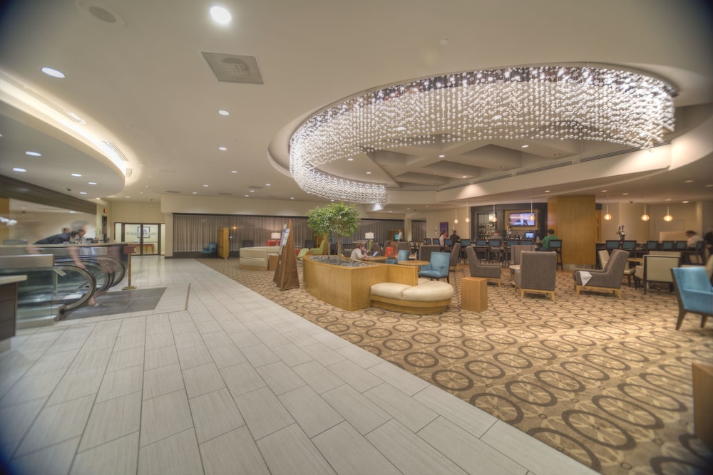 DoubleTree by Hilton Washington DC Crystal City - photo 4