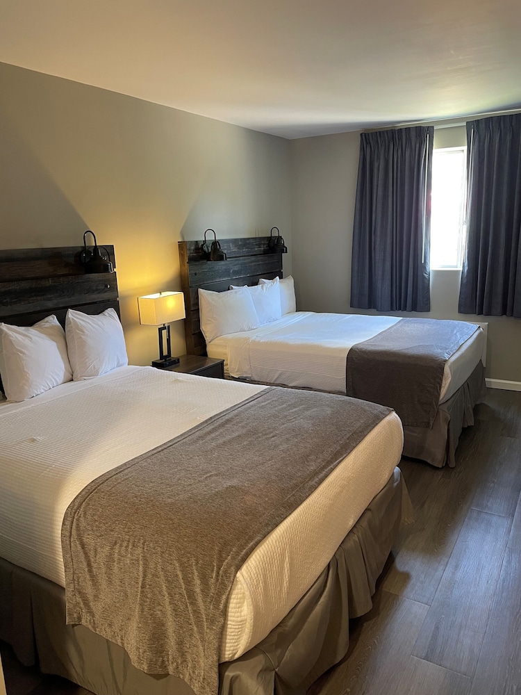 Carolina Pine Inn - photo 11