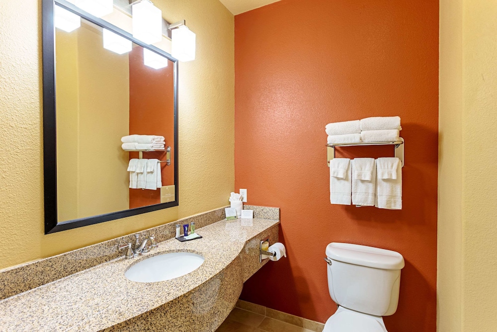 Sleep Inn & Suites Tyler South - photo 23