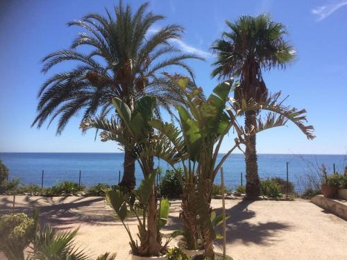 El Bar in Motril, Spain