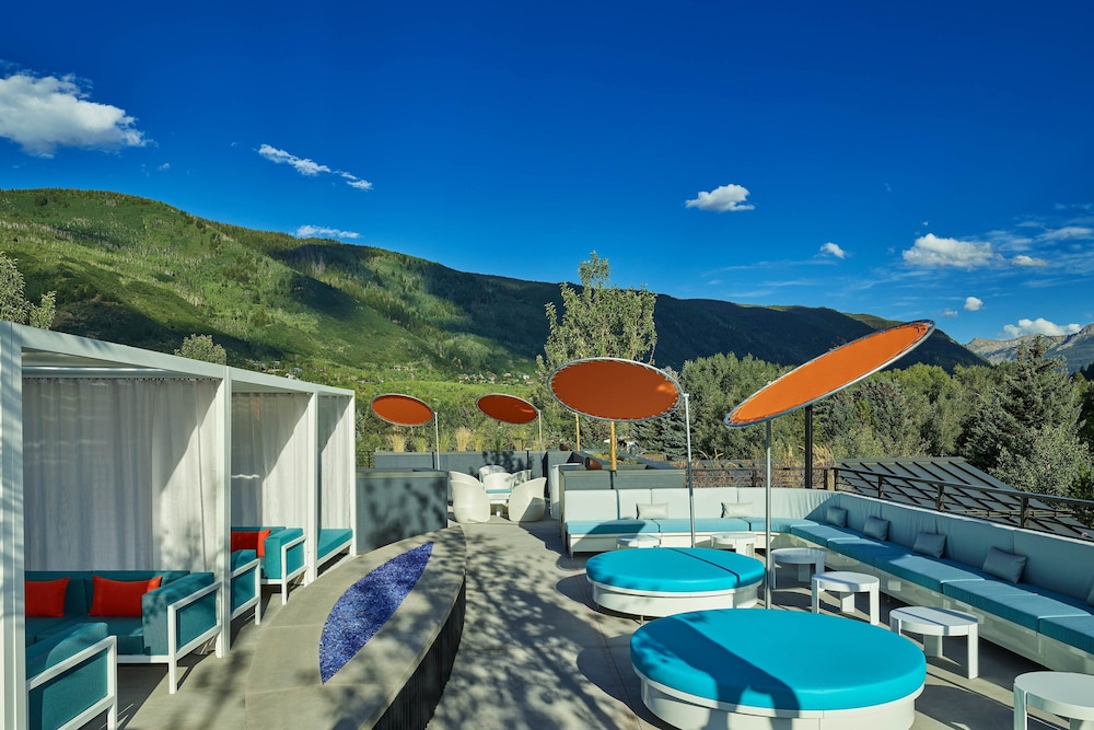 The Sky Residences at W Aspen - photo 34