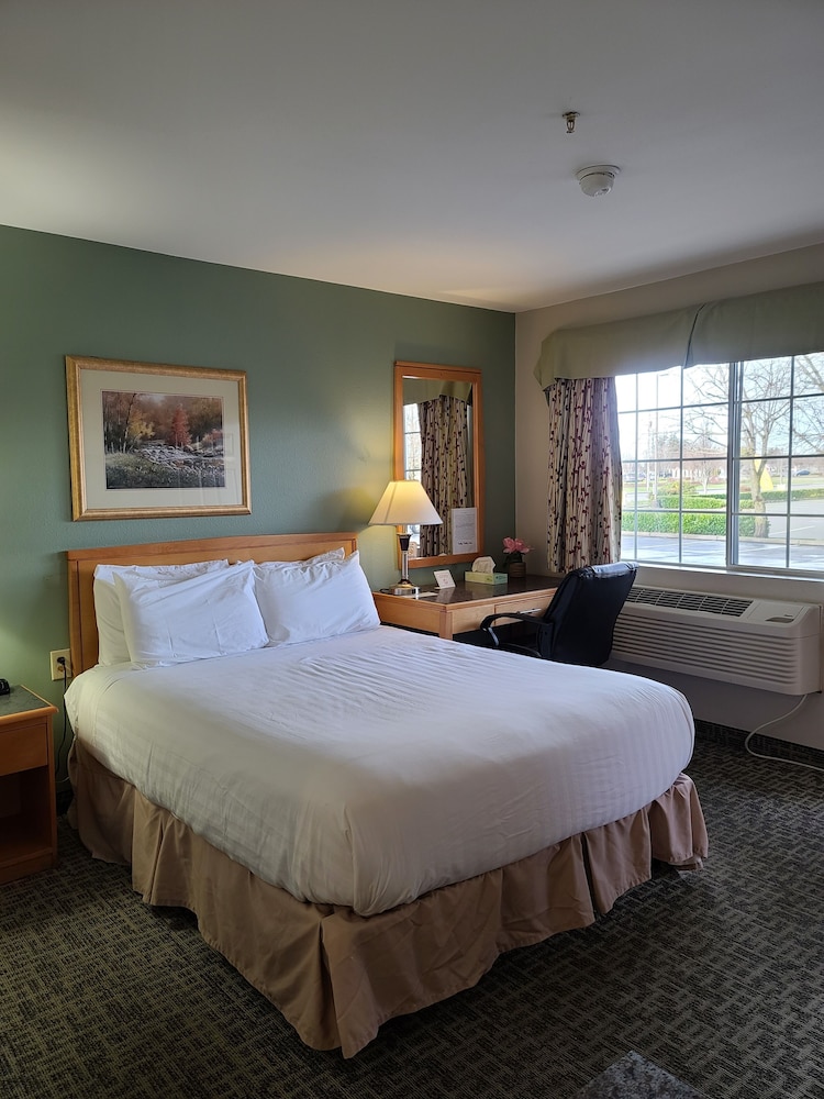 Tulip Inn - photo 8