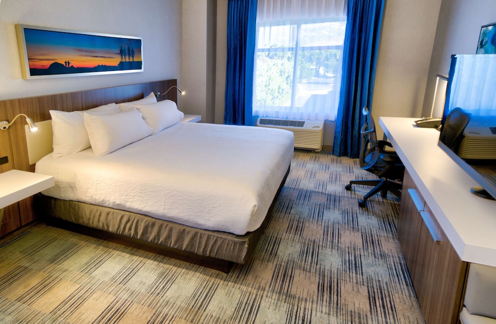 Hilton Garden Inn Santa Barbara Goleta - photo 29