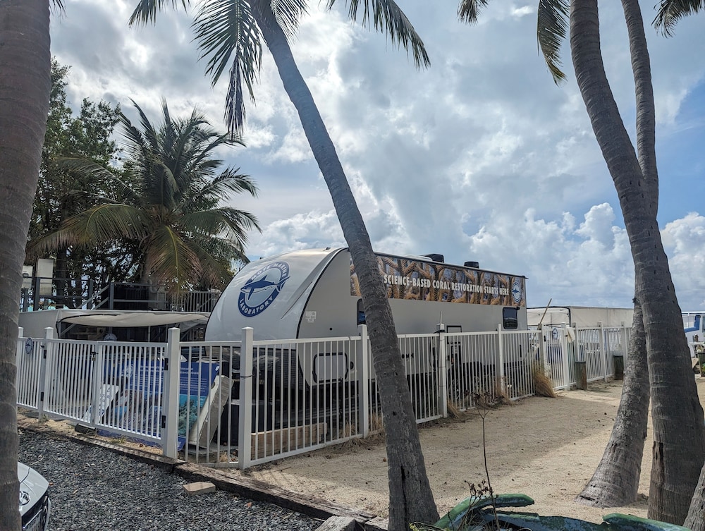 Bud N' Mary's Fishing Marina - photo 83