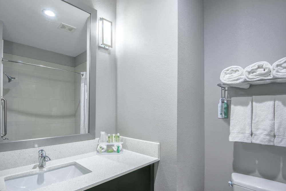 Holiday Inn Express & Suites Houston North IAH Area by IHG - photo 18