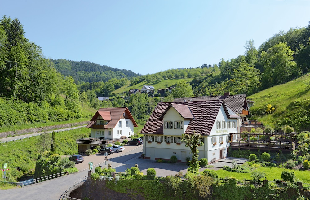 Gasthof Blume — hotel in Oppenau