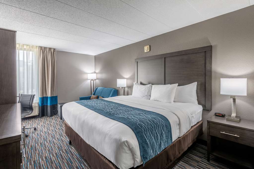 Comfort Inn Chicago Schaumburg O'Hare Airport - photo 16
