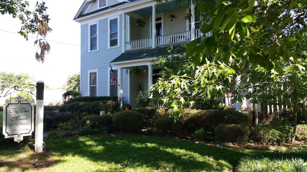 Fig Tree Manor - photo 5