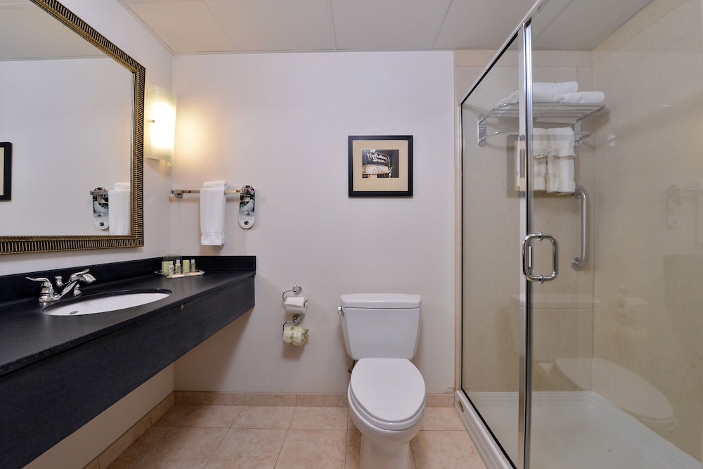 Holiday Inn Madison at The American Center by IHG - photo 22