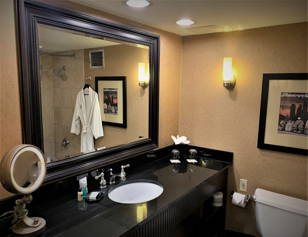 Sheraton Lisle Naperville Hotel - photo 20