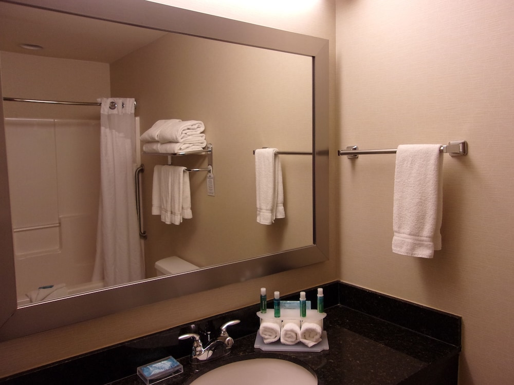 Holiday Inn Express & Suites Chicago West Roselle by IHG - photo 18