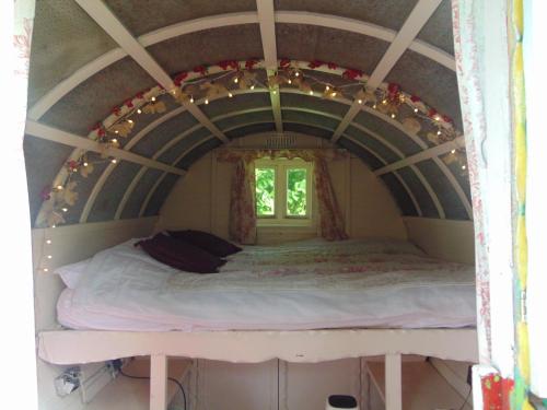 Romany Wagon & Cwtch — Llandysul — photo 3