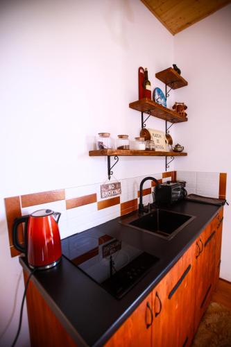 Villa Vejini cabin