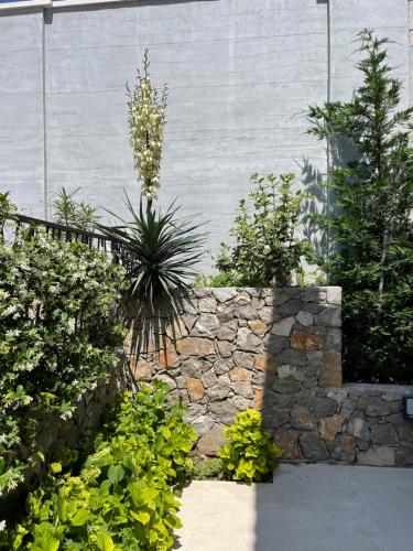 Villa Pine — Bar — photo 5
