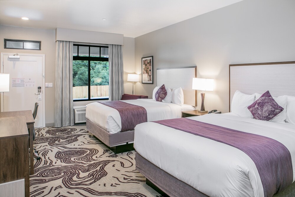 Hotel Siri Downtown Paso Robles - photo 16