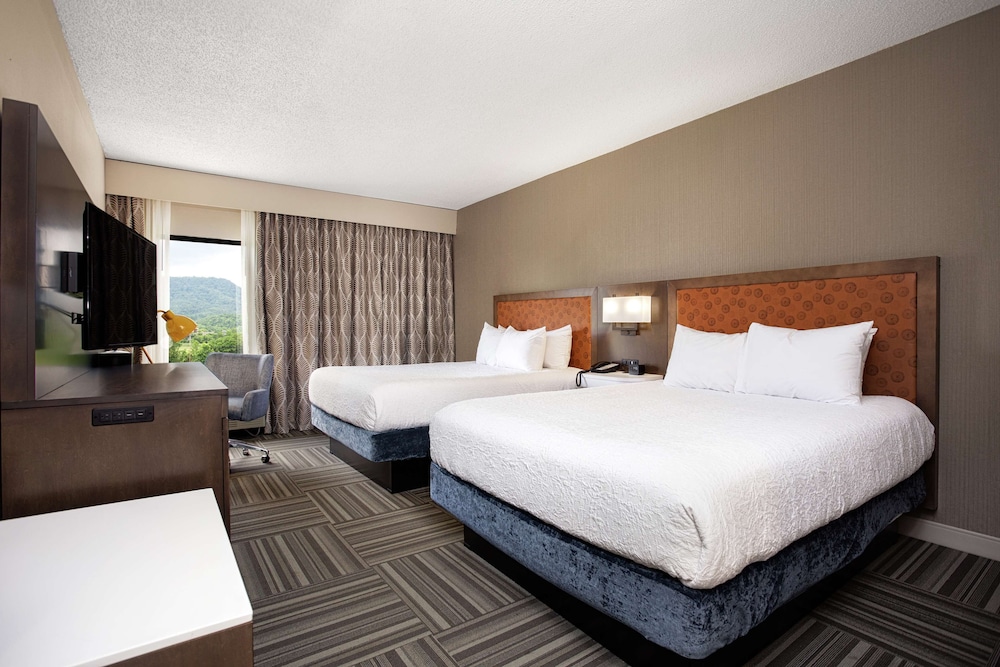 Hampton Inn Kingsport - photo 13