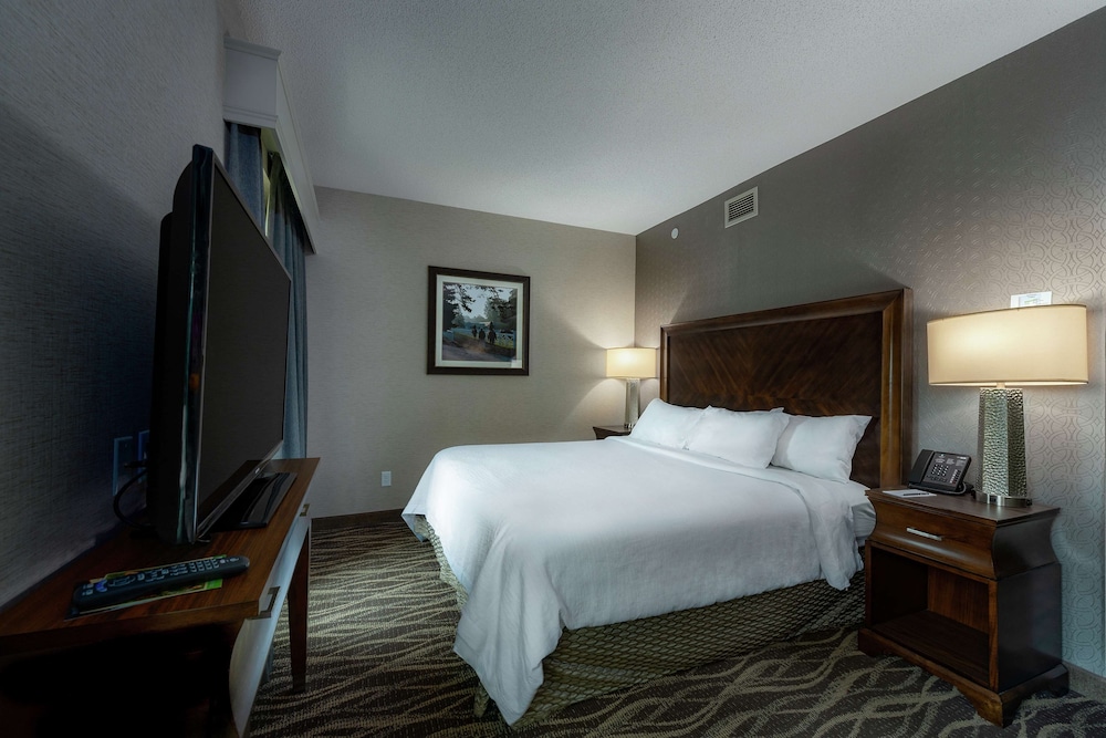 Embassy Suites Saratoga Springs - photo 10