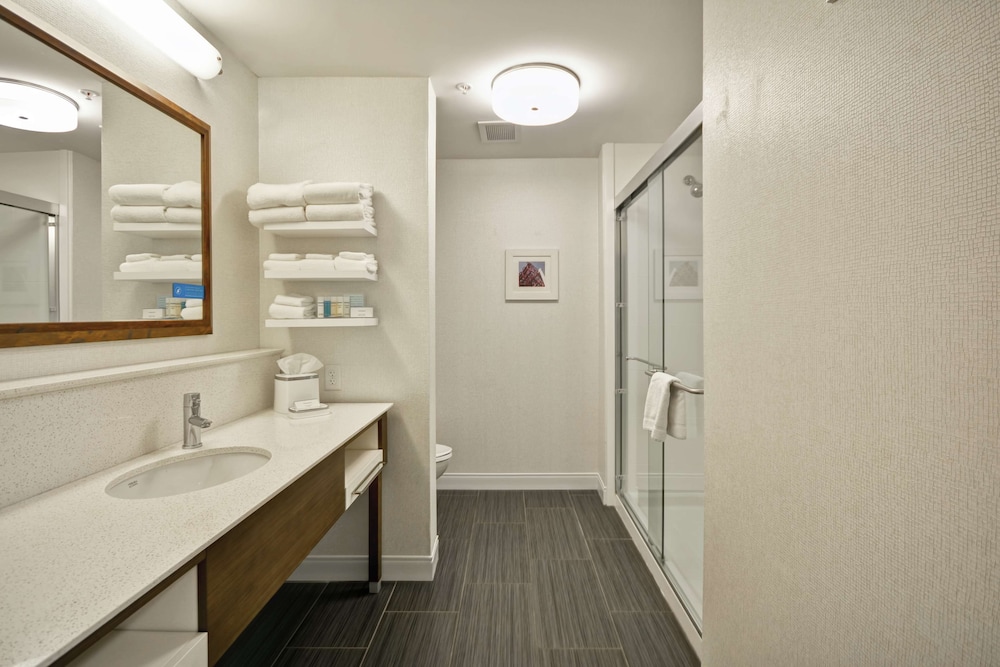 Hampton Inn Blue Ash Cincinnati - photo 34