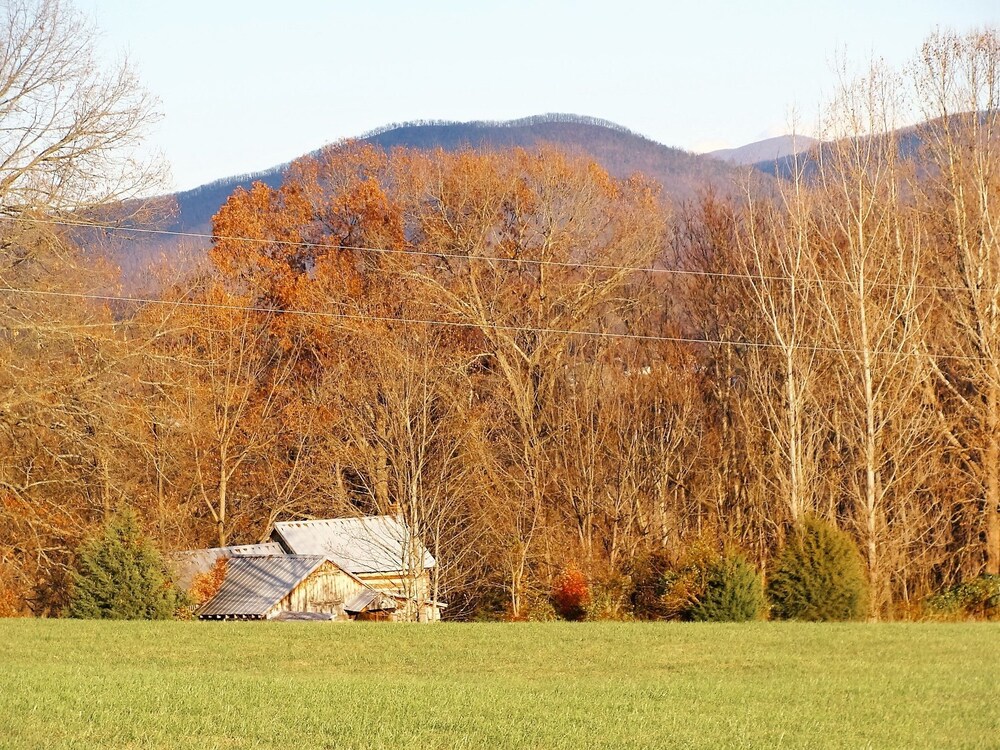 Heartstone Country Retreat - photo 66