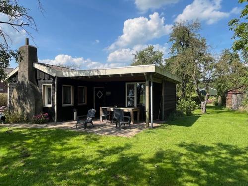 Steenuil in Doetinchem, Netherlands