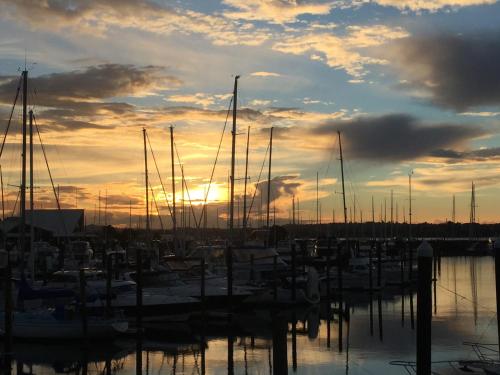 Amber Homes — 4-Star Luxury Hotel in Auckland, New Zealand