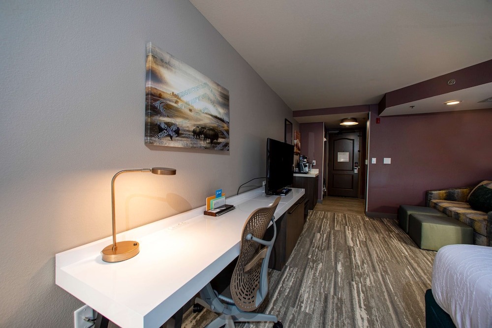 Hilton Garden Inn Rapid City - photo 32