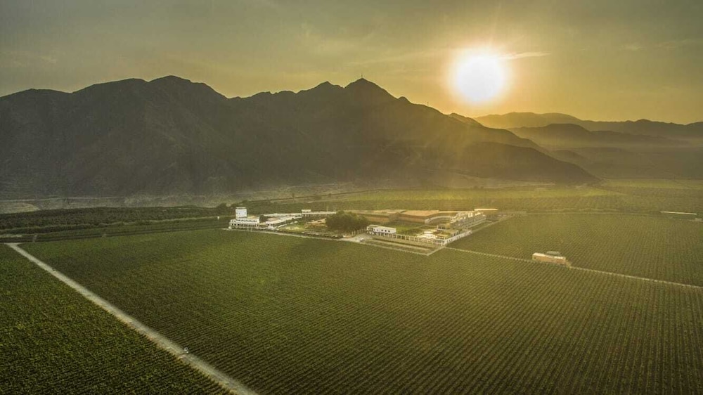 Hotel Viñas Queirolo in Ica, Peru