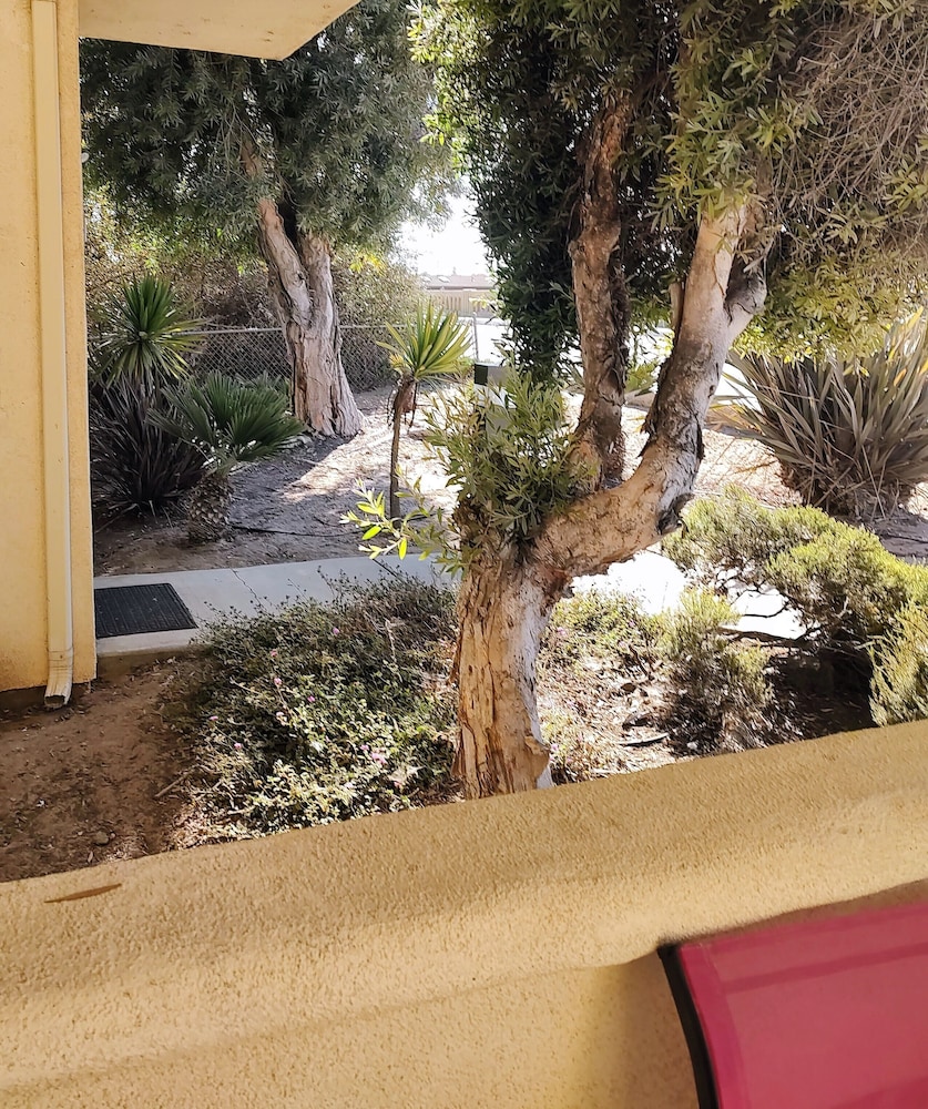 Pacific Plaza Hotel - photo 132