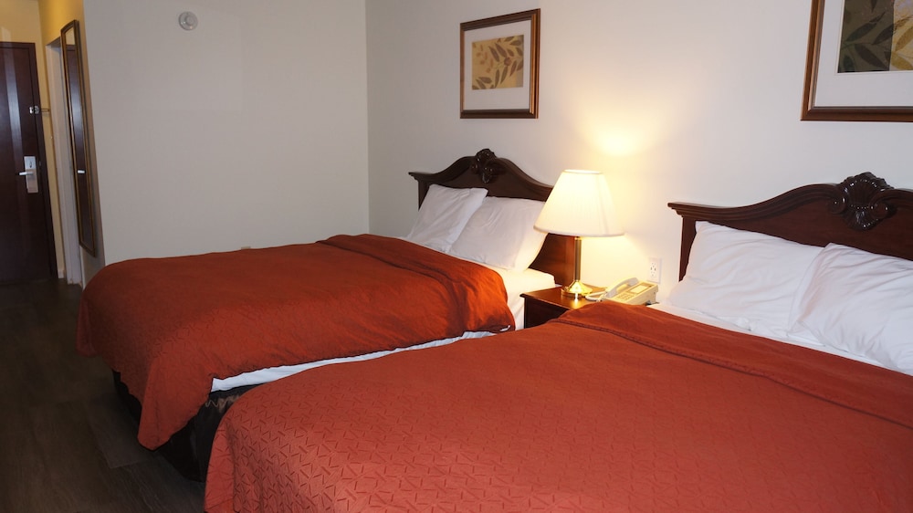 Scotland Neck Inn - photo 14