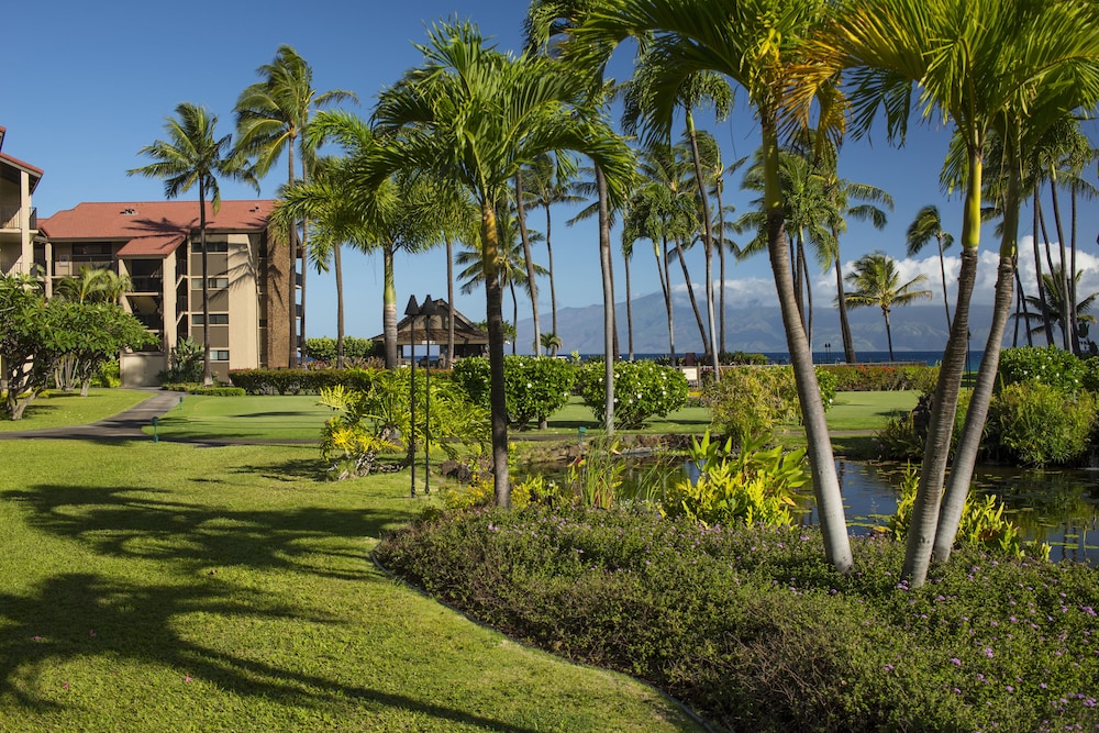 AEI at Papakea Resort Maui - photo 22