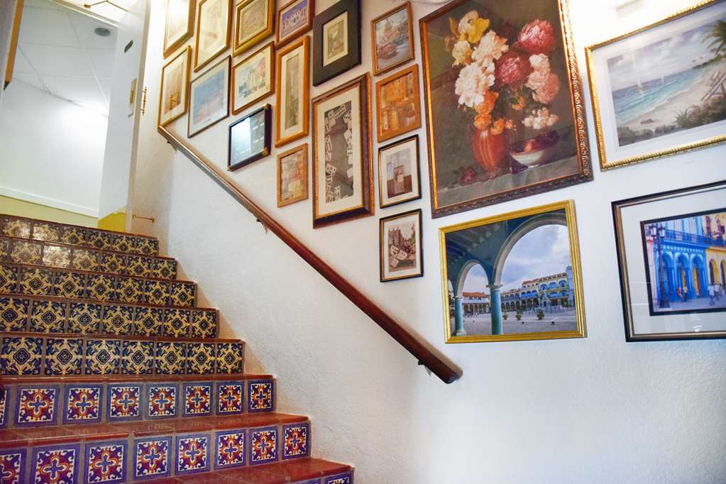 Beach Park Hotel - photo 17