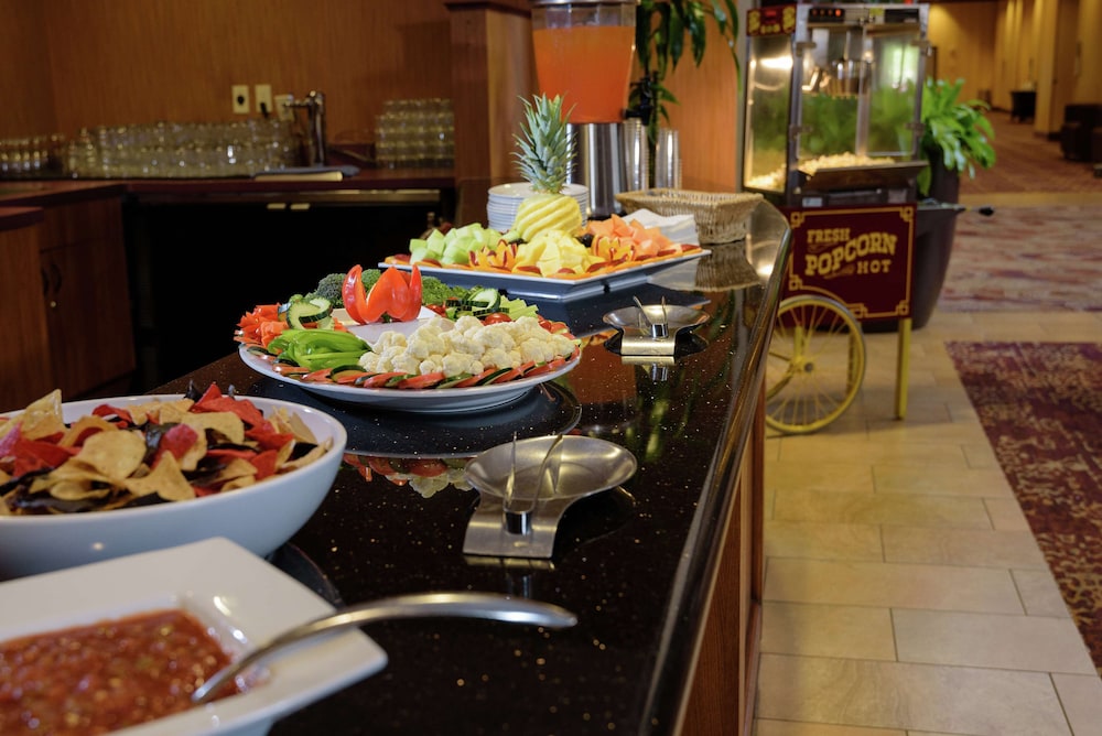 Embassy Suites by Hilton Minneapolis North - photo 43