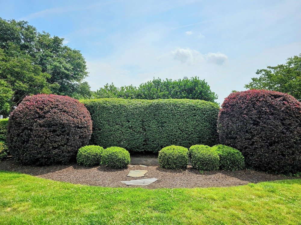 Doubletree by Hilton Hotel Norfolk Airport - photo 43