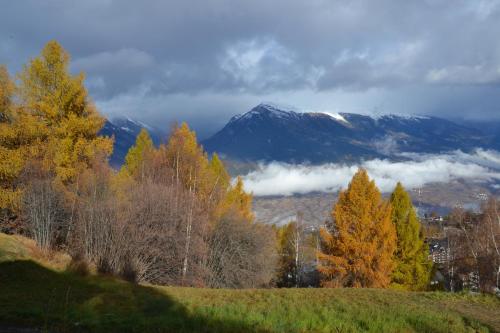Les 2 Sabots — Basse-Nendaz — photo 4