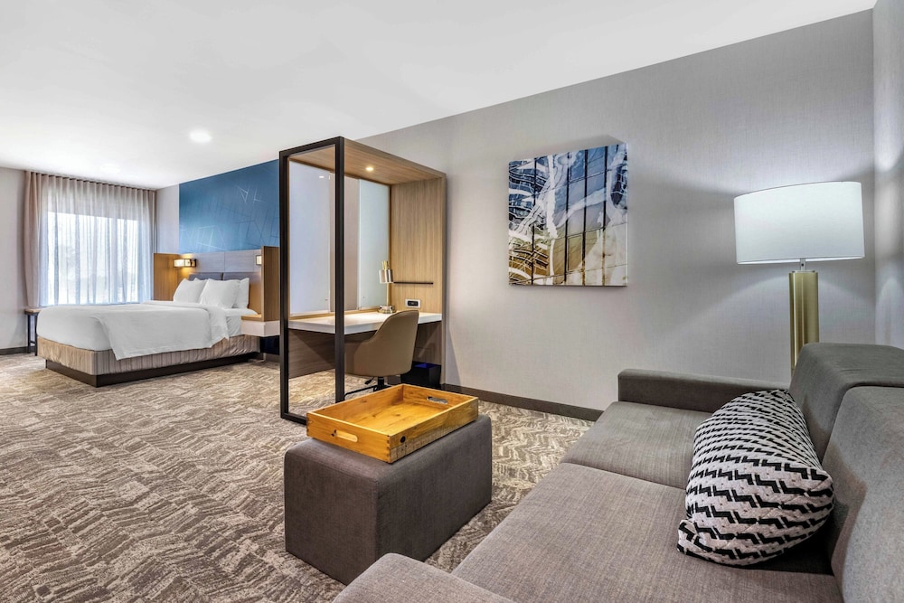 SpringHill Suites by Marriott Anaheim Placentia Fullerton - photo 8