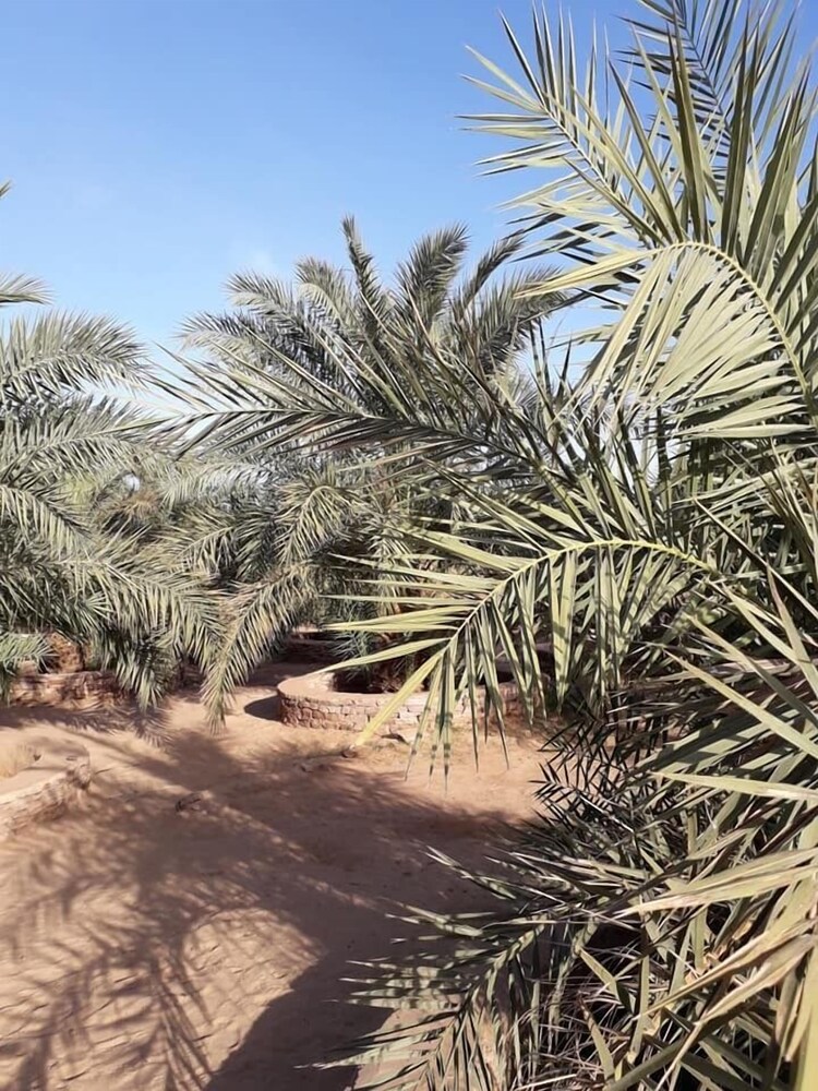 O’dar Kanawal in Atar, Mauritania