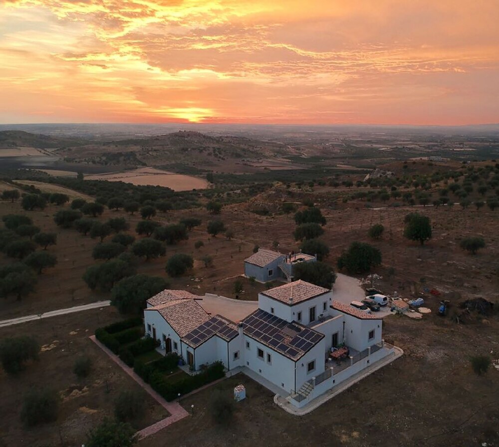 Olivandro in Trapani, Italy