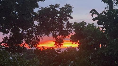 Jungle paradise in Unknown City, Costa Rica