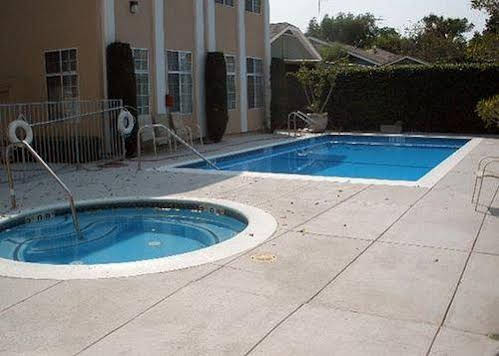 Best Western Plus San Pedro Hotel & Suites - photo 8
