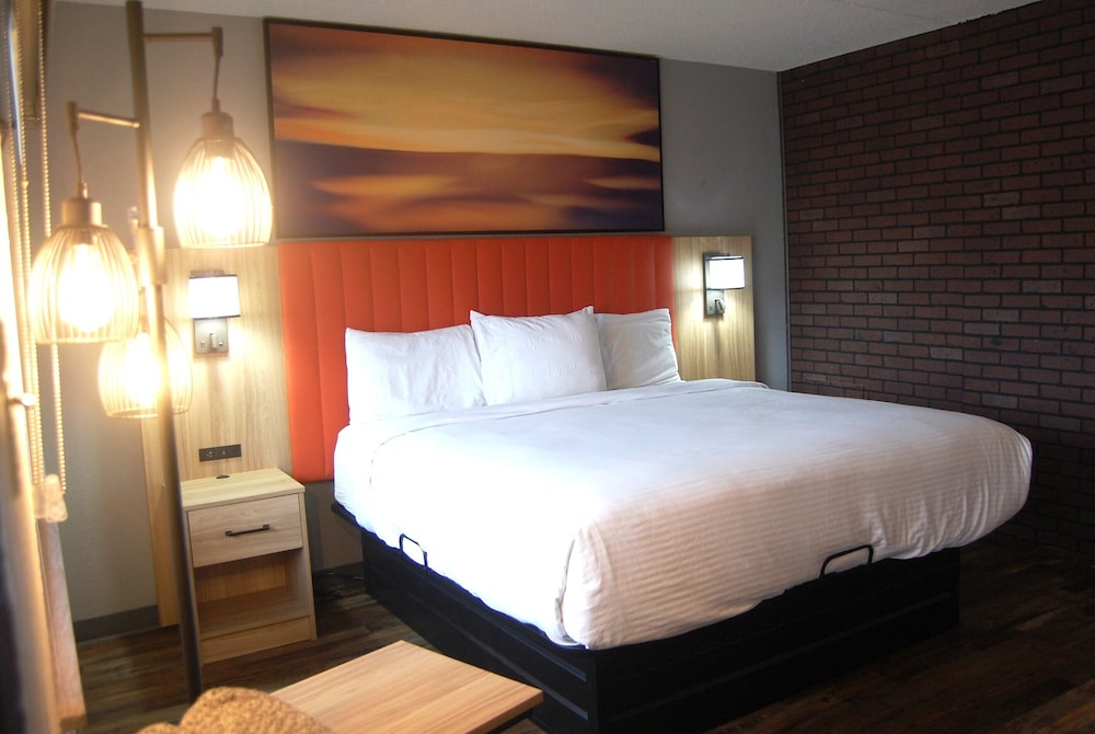 Vacation Lodge - photo 5