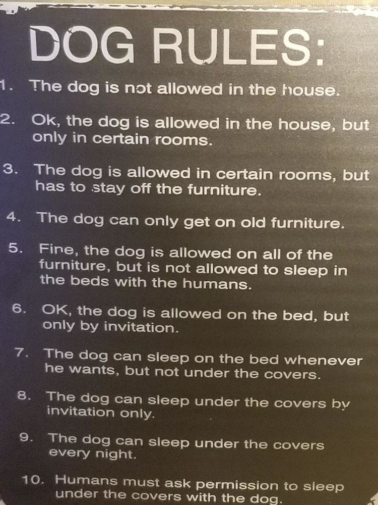 Family Friendly - photo 27