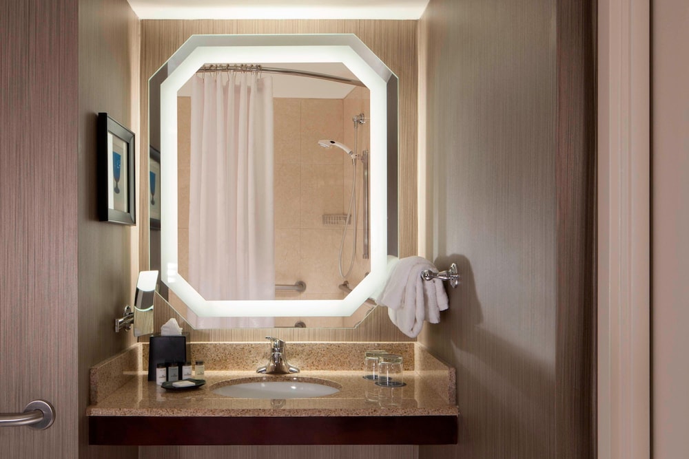 Sheraton DFW Airport Hotel - photo 21