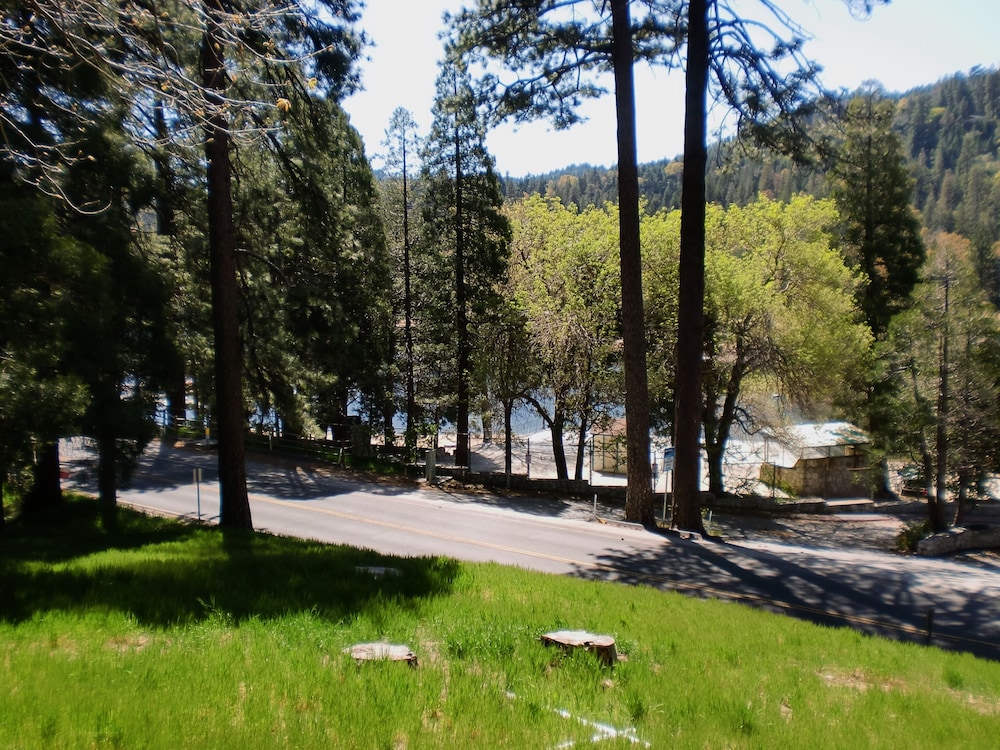 The North Shore Inn - photo 106