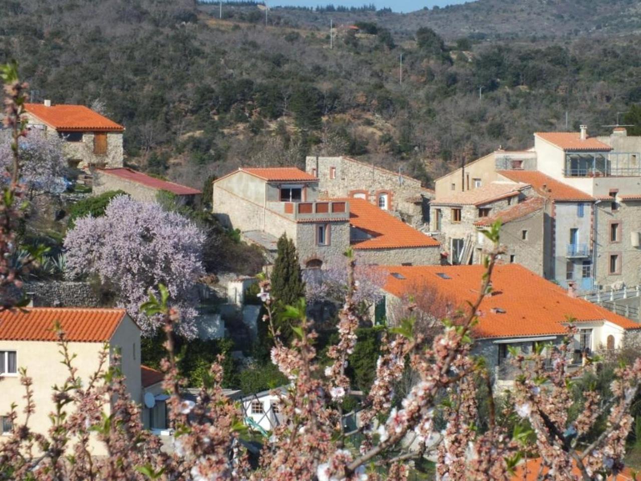 Chez Pierre — hotel in Belesta
