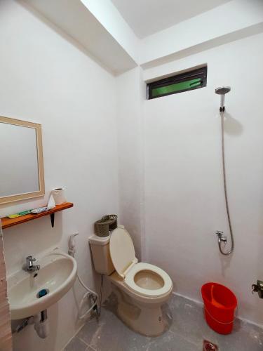 Aunora Executive Room — San Miguel