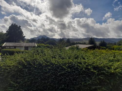 Caban Marjie — Trawsfynydd — photo 5