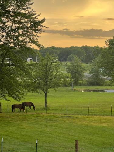 Horse Hideaway Fenced in back yard Dogs Welcome — hotel in Baxter